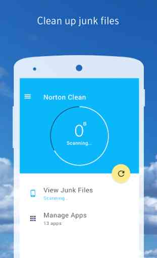 Norton Clean 1