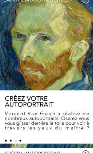 Van Gogh Natures 4
