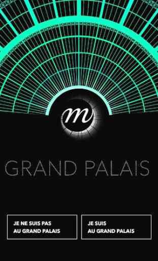 Grand Palais 1