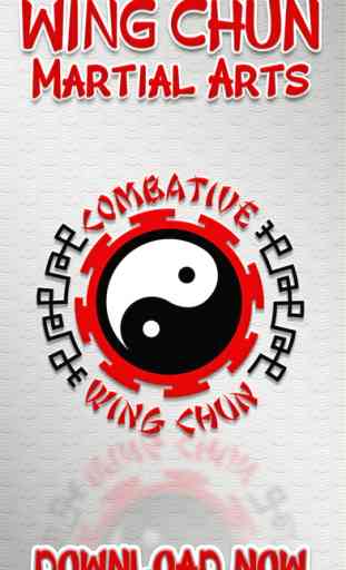 Wing Chun Kung-Fu et arts martiaux chinois 1