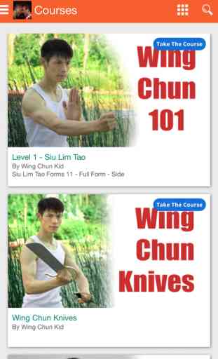 Wing Chun Kung-Fu et arts martiaux chinois 2