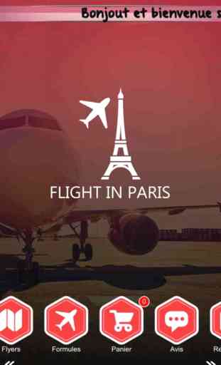 Flight in Paris 1