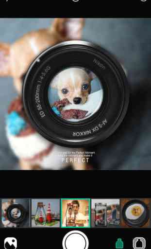 PIP Camera Square - animated photo collage and picture layout 2