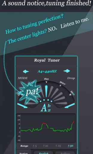 Accordeur de chromatique pro - Royal chromatic tuner pro 4