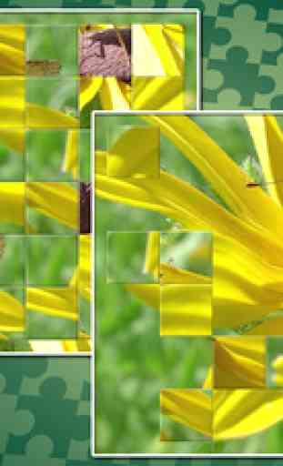 Call of Nature: Gratuit Jigsaw Puzzle 1