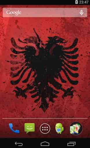 Flag of Albania 3