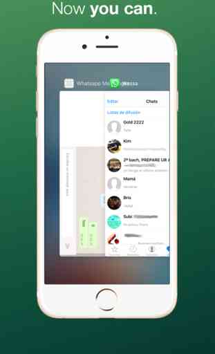 Messenger pour WhatsApp - Pro App 1