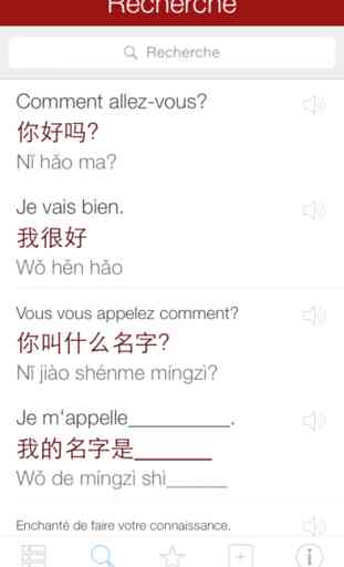Dictionnaire Chinois - Traduire et Parler 4