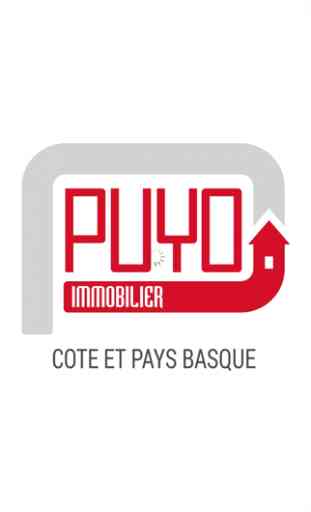 AGENCE IMMOBILIERE PUYO 1