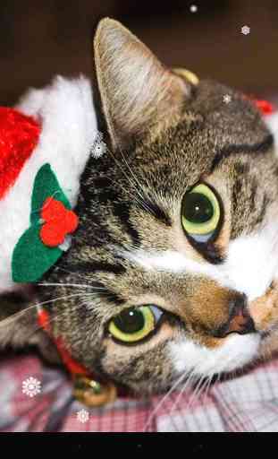Christmas Cat 3
