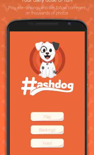 Hashdog - Dog's social network 1