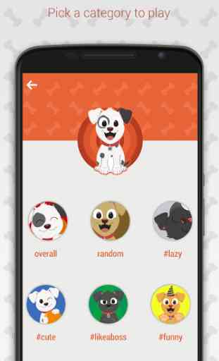 Hashdog - Dog's social network 2