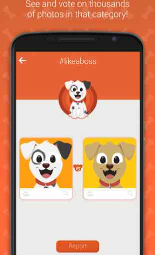 Hashdog - Dog's social network 3