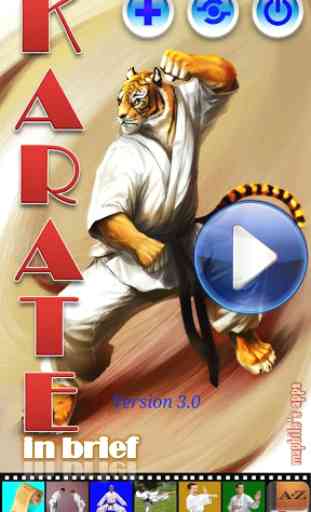 Karate in brief 1