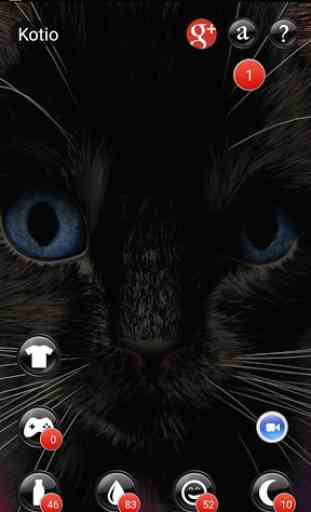 Mon chaton (de costume noir) 2