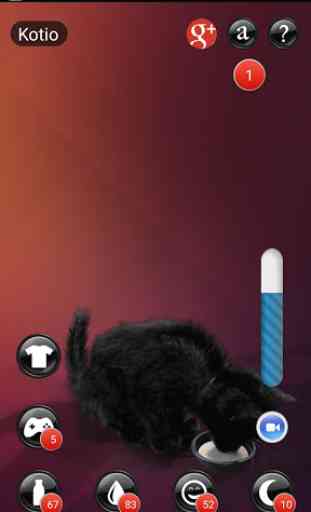 Mon chaton (de costume noir) 3