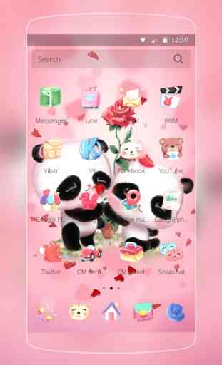 Rose Amour de panda 2