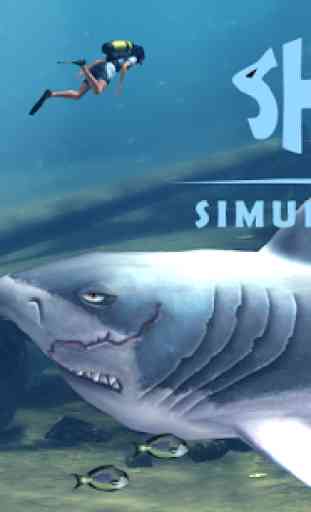 Shark Simulation 2016 4