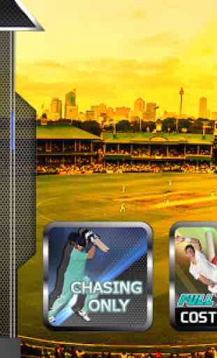 Top Cricket MultiPlayer 3