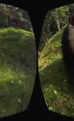 Wild Life Animals VR 360 1