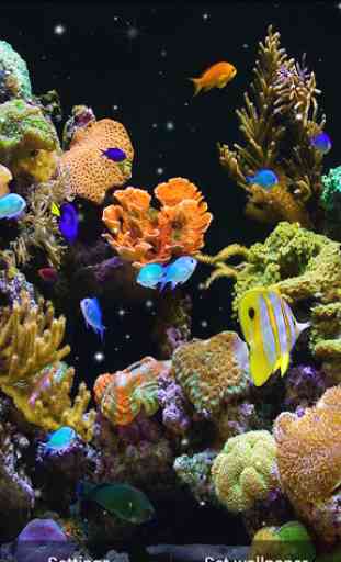 Aquarium Fond d'écran animé 3