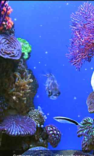 Aquarium Fond d'écran animé 4