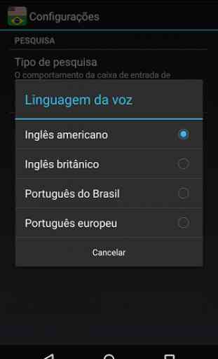 Brazilian English Dictionary 3