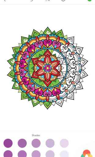 Coloriage Mandala Adulte 2