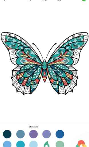 Coloriage Papillon pour Adulte 2