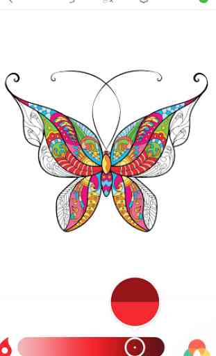Coloriage Papillon pour Adulte 3