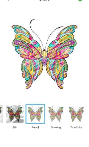 Coloriage Papillon pour Adulte 4