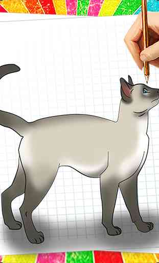 Comment dessiner Cat 1