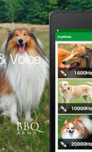 Dog Whistle & Voice 4 Trainer 1