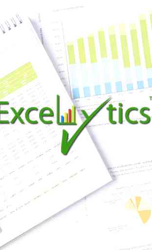 Excel Business Intelligence 1