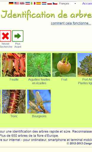 Identification des arbres 1