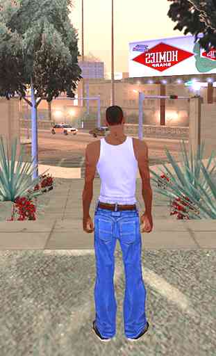 Mods Codes for GTA San Andreas 2