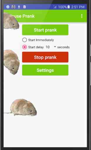Mouse run in phone Prank 1