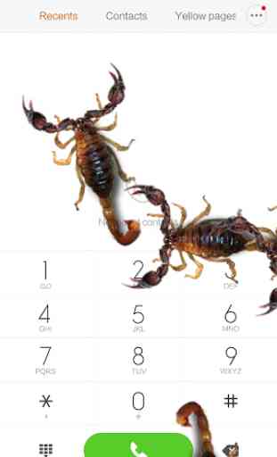 scorpion dans le téléphone 4