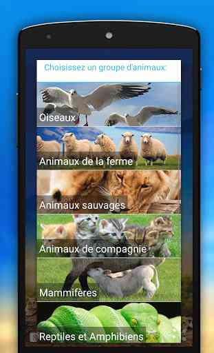Sons d'animaux 4