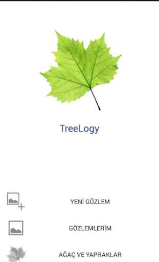 TreeLogy 1