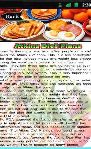 Atkins Diet Plans 3