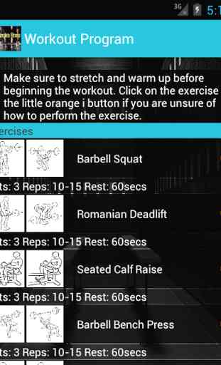 Fat Loss and Fitness Trainer 2