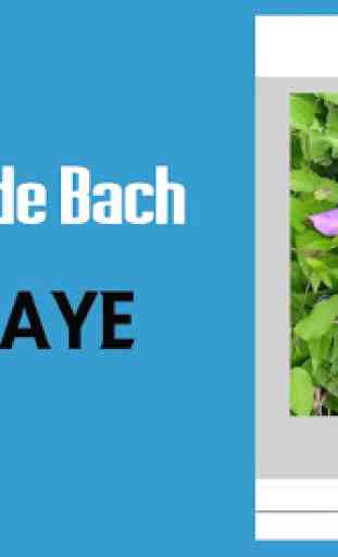 Flores de Bach 3