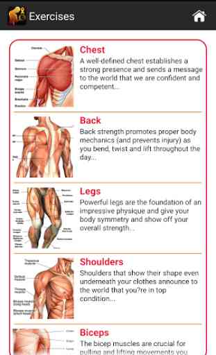 Perfect Body Building Plan 2