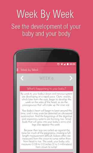 Pregnancy Assistant App 2