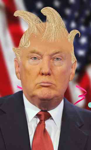 Trump's Hair 2