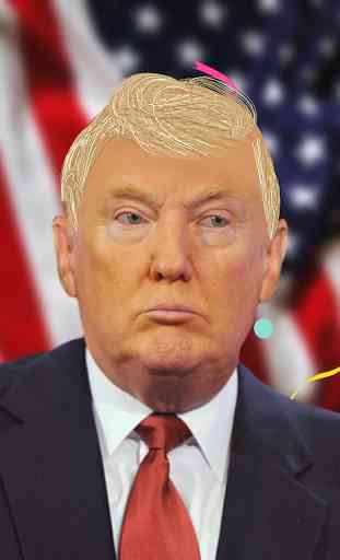 Trump's Hair 3
