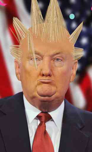 Trump's Hair 4