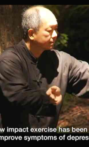 Yang Tai Chi 1 (Dr Yang) YMAA 2