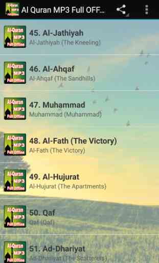 Al Quran MP3 Full Offline 2